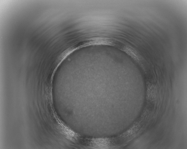 X0000059240836200510211600