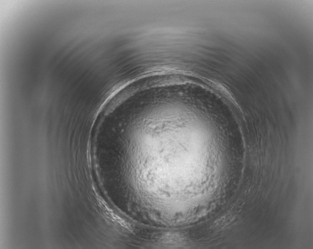 X0000059240839200510211600