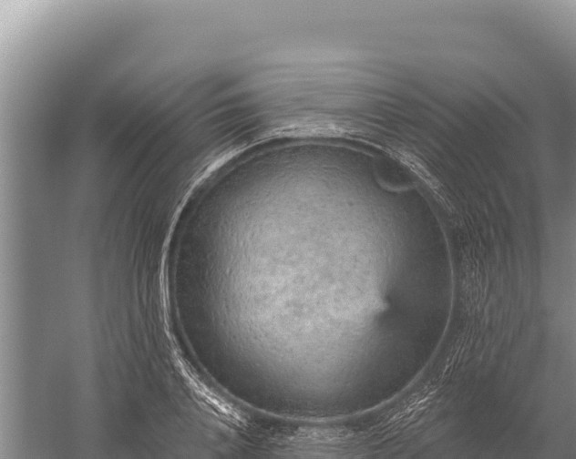 X0000059240840200510211600