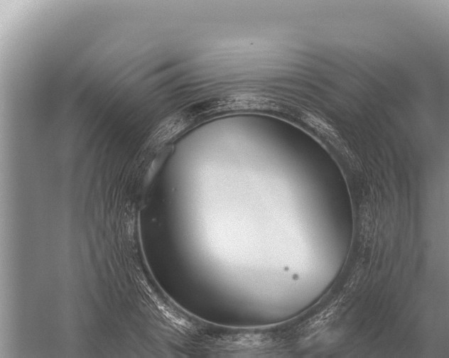 X0000059240841200510211600