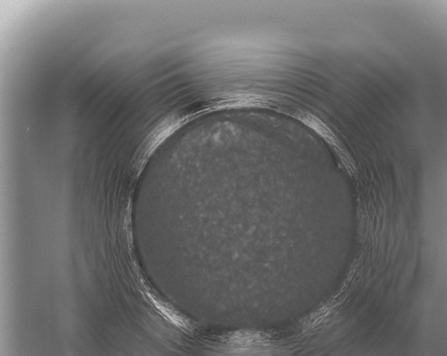 X0000059240842200510211600