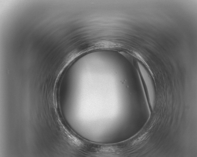 X0000059240843200510211600