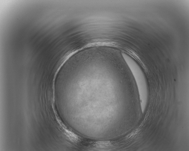 X0000059240844200510211600