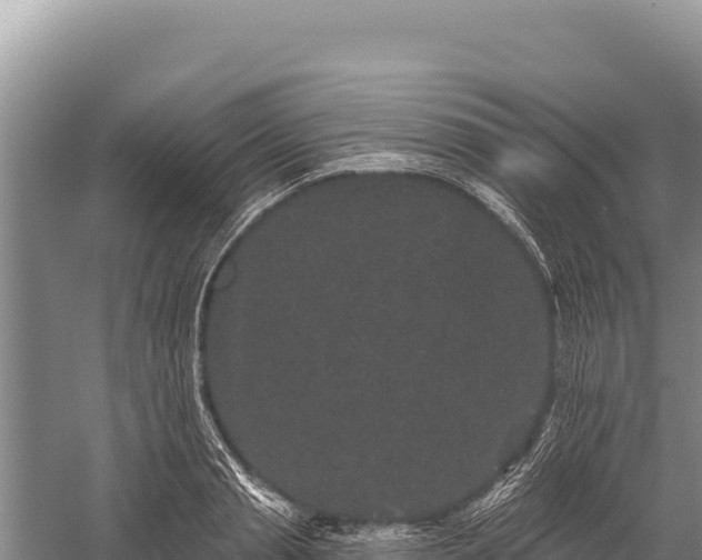 X0000059240845200510211600