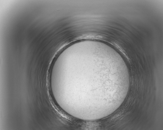 X0000059240848200510211600