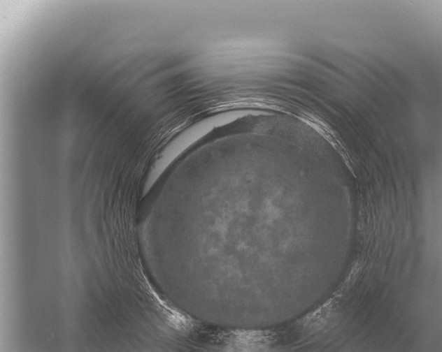 X0000059240849200510211600