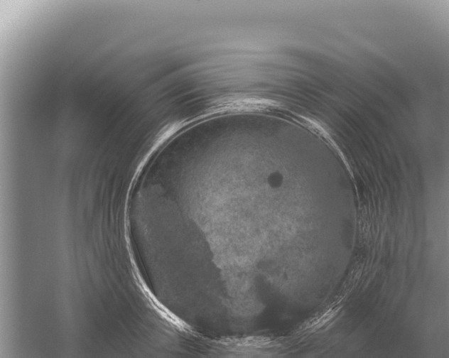 X0000059240851200510211600