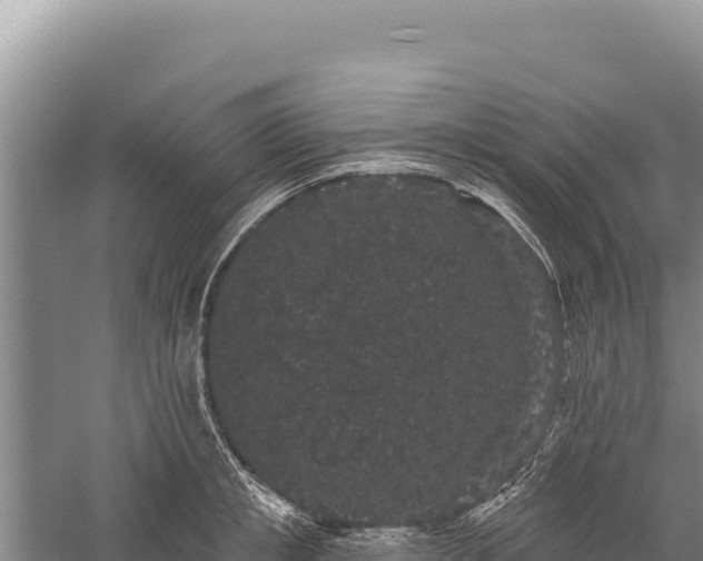 X0000059240853200510211600