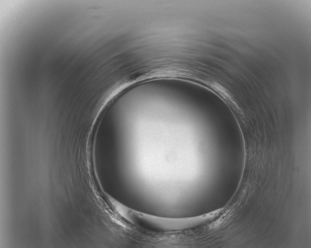 X0000059240854200510211600