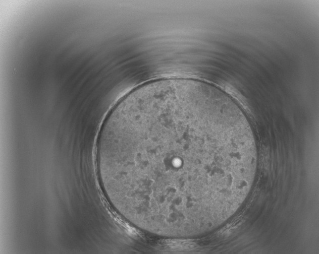 X0000059240856200510211600