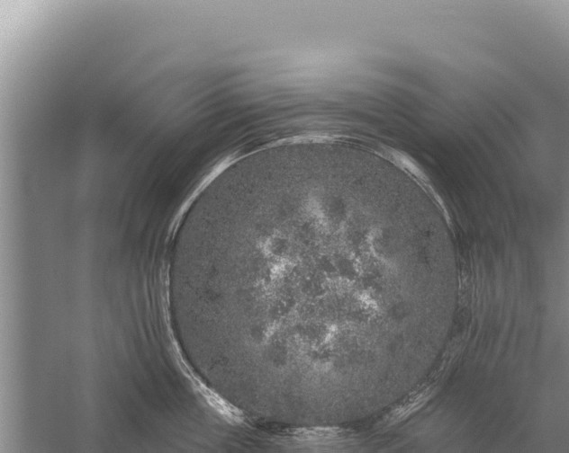 X0000059240859200510211600