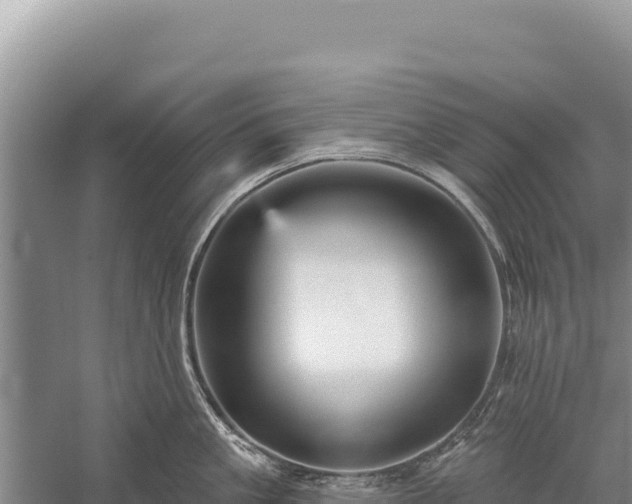 X0000059240861200510211600