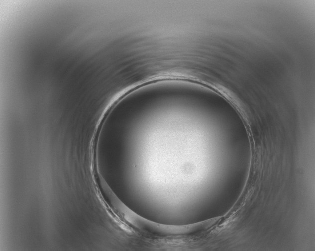 X0000059240862200510211600