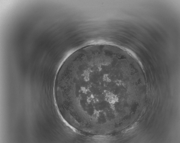 X0000059240863200510211600