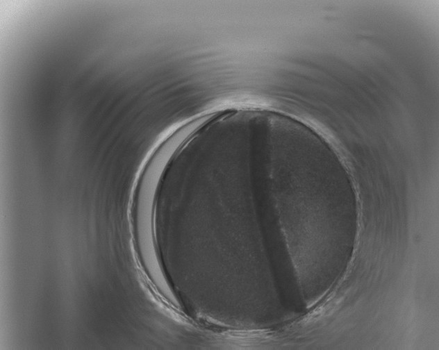 X0000059240864200510211600