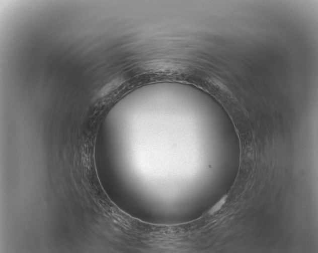 X0000059240869200510211559