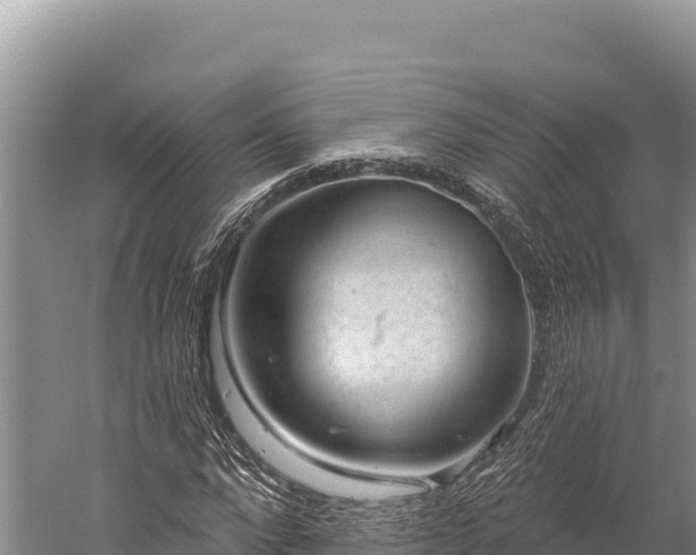 X0000059240872200510211559