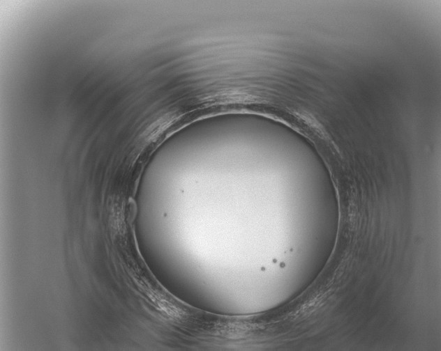 X0000059240873200510211559