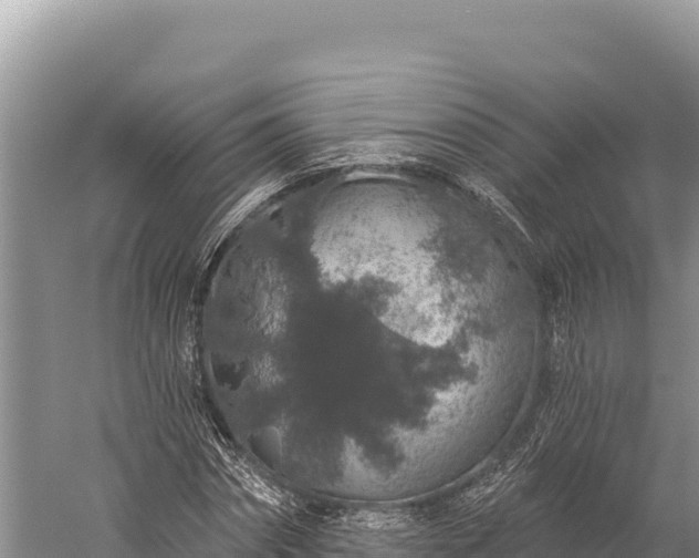 X0000059240874200510211559