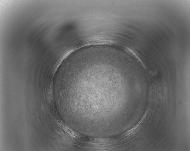 X0000059240875200510211559