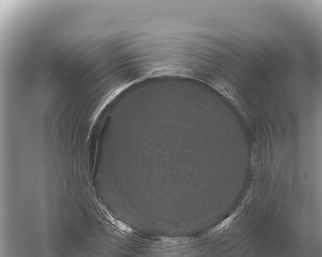 X0000059240877200510211559