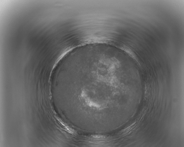 X0000059240878200510211559