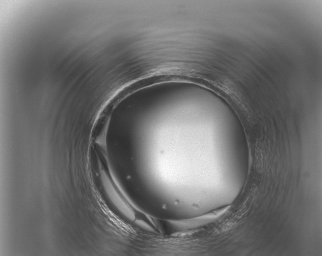 X0000059240880200510211559