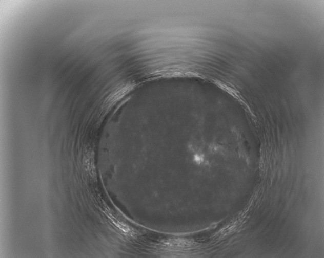 X0000059240881200510211559