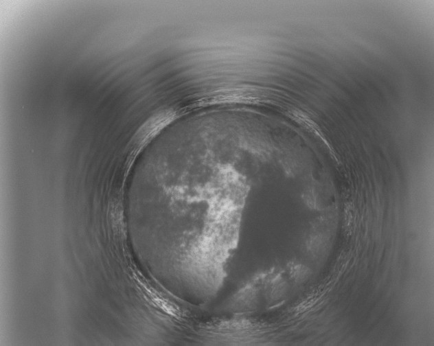 X0000059240882200510211559