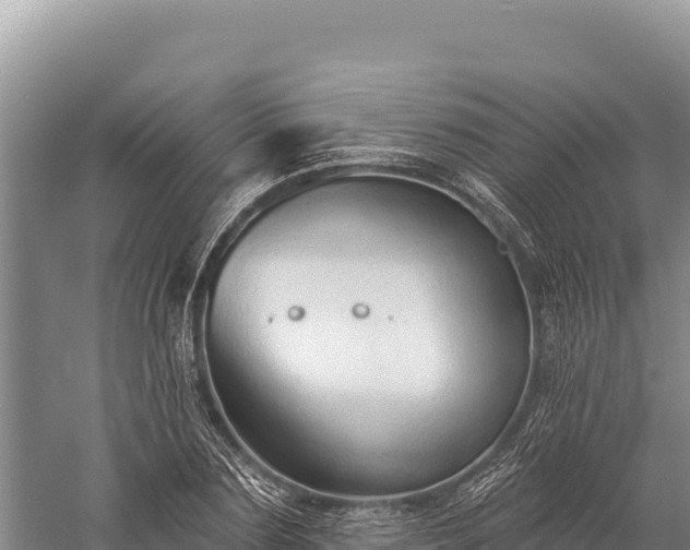 X0000059240883200510211559