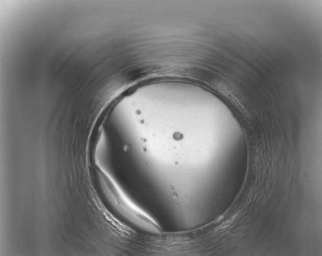 X0000059240884200510211559