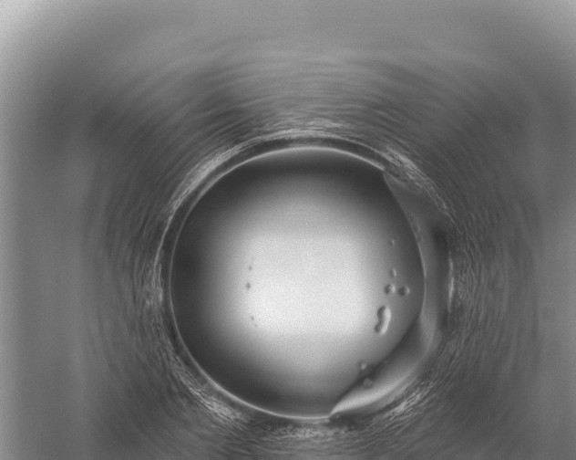 X0000059240885200510211559