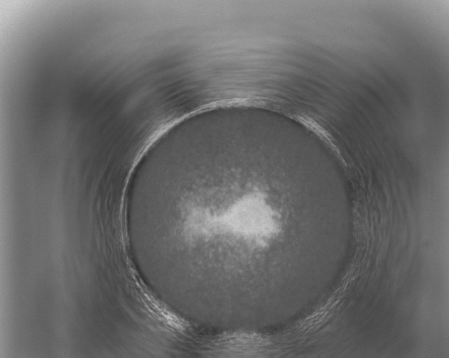 X0000059240886200510211559