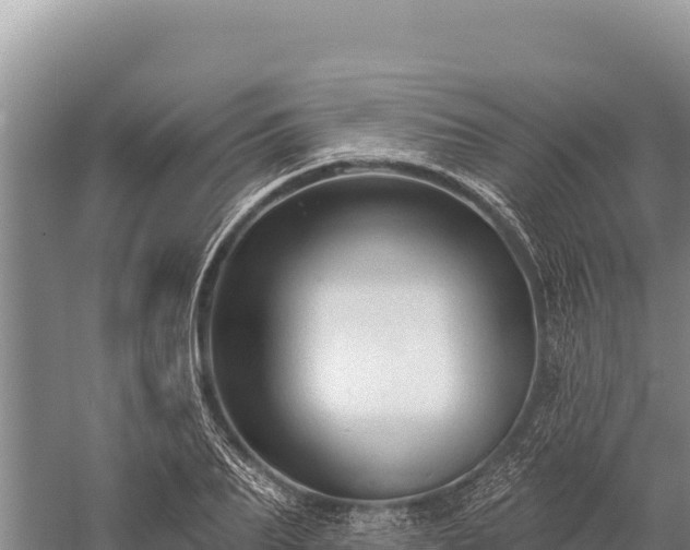 X0000059240887200510211559