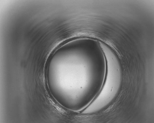 X0000059240888200510211559