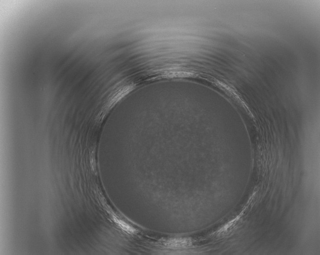 X0000059240889200510211559