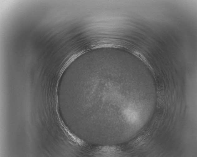 X0000059240890200510211559