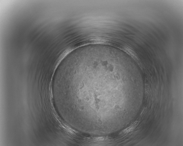 X0000059240891200510211559