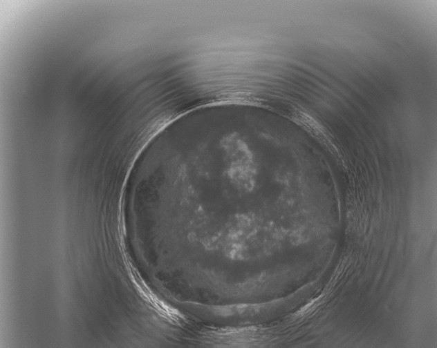 X0000059240892200510211559