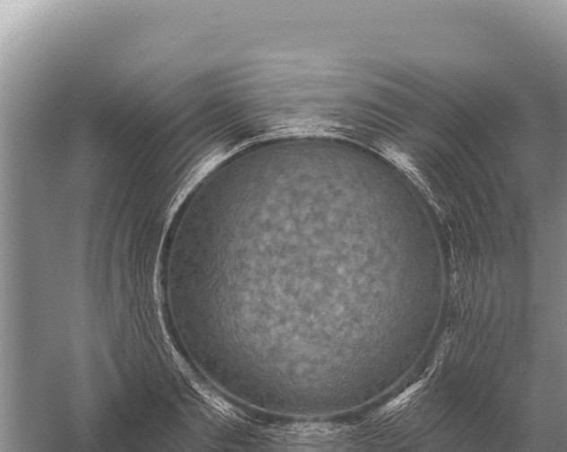 X0000059240893200510211559