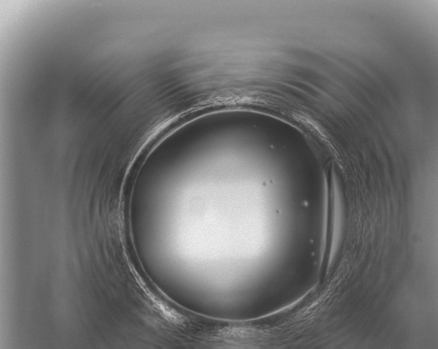 X0000059240894200510211559