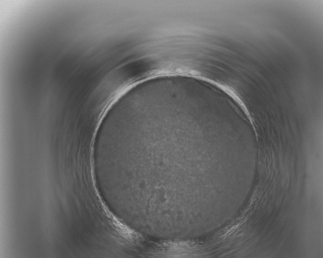 X0000059240895200510211559