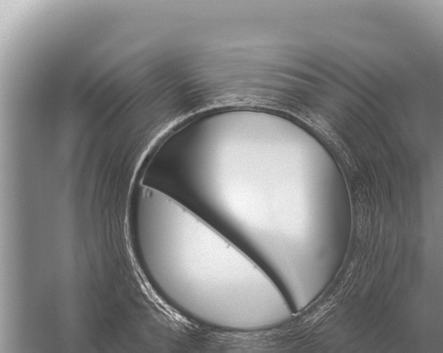 X0000059240896200510211559