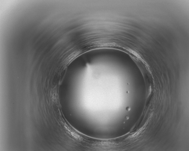 X0000059240897200510211559