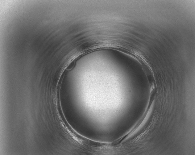 X0000059240898200510211559