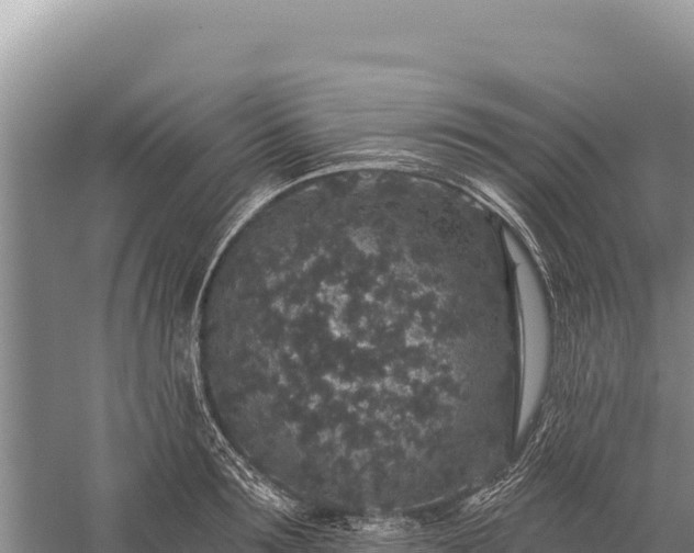 X0000059240899200510211559