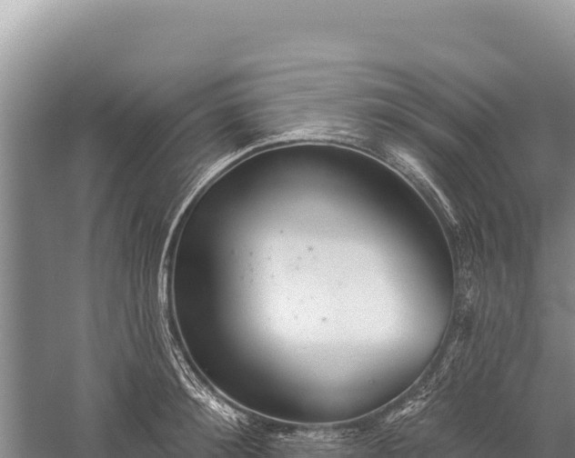 X0000059240900200510211559