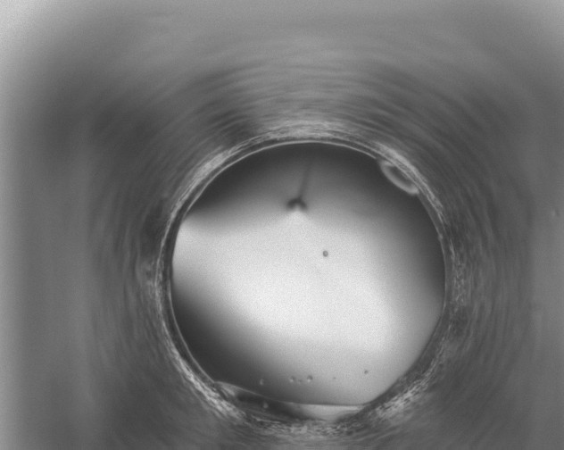 X0000059240901200510211559