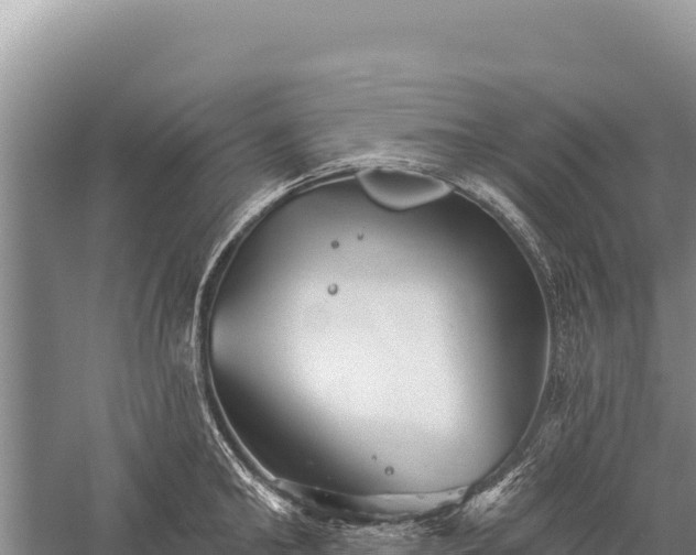 X0000059240902200510211559