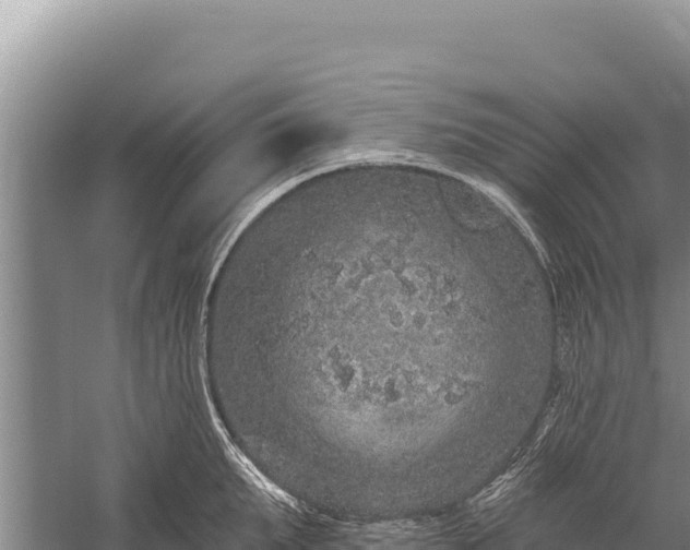 X0000059240903200510211559